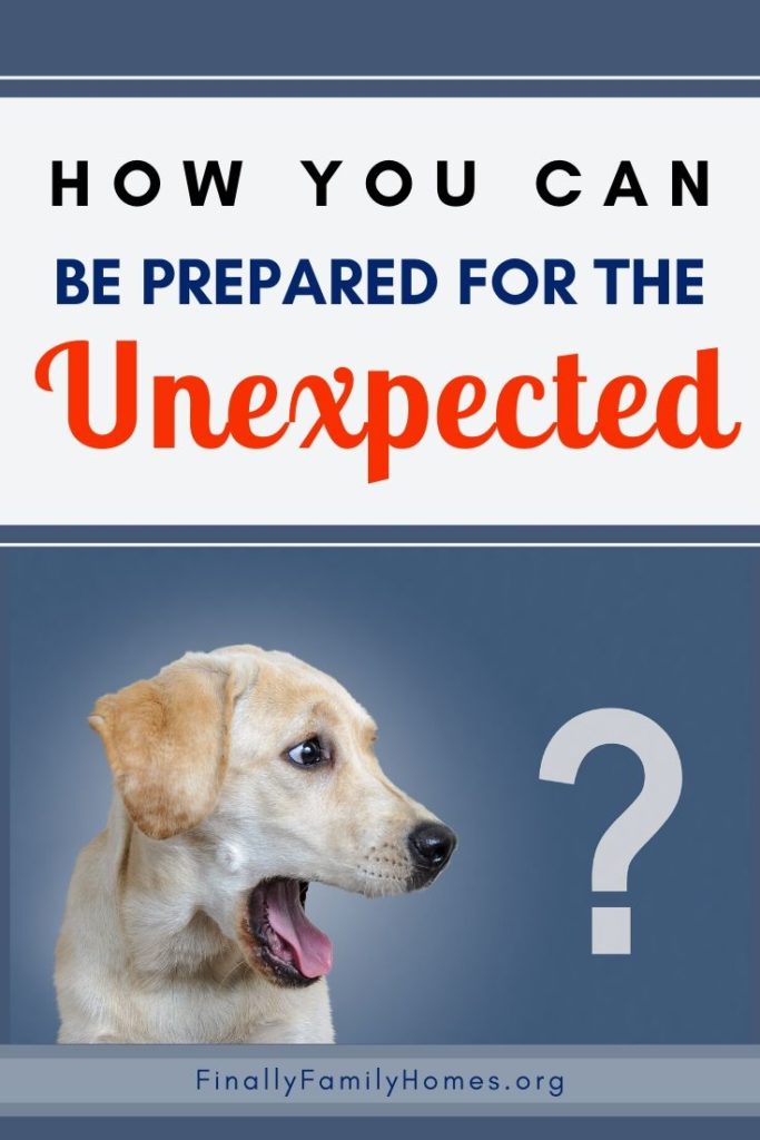 image of dog looking at a question mark - how you can be prepared for the unexpected